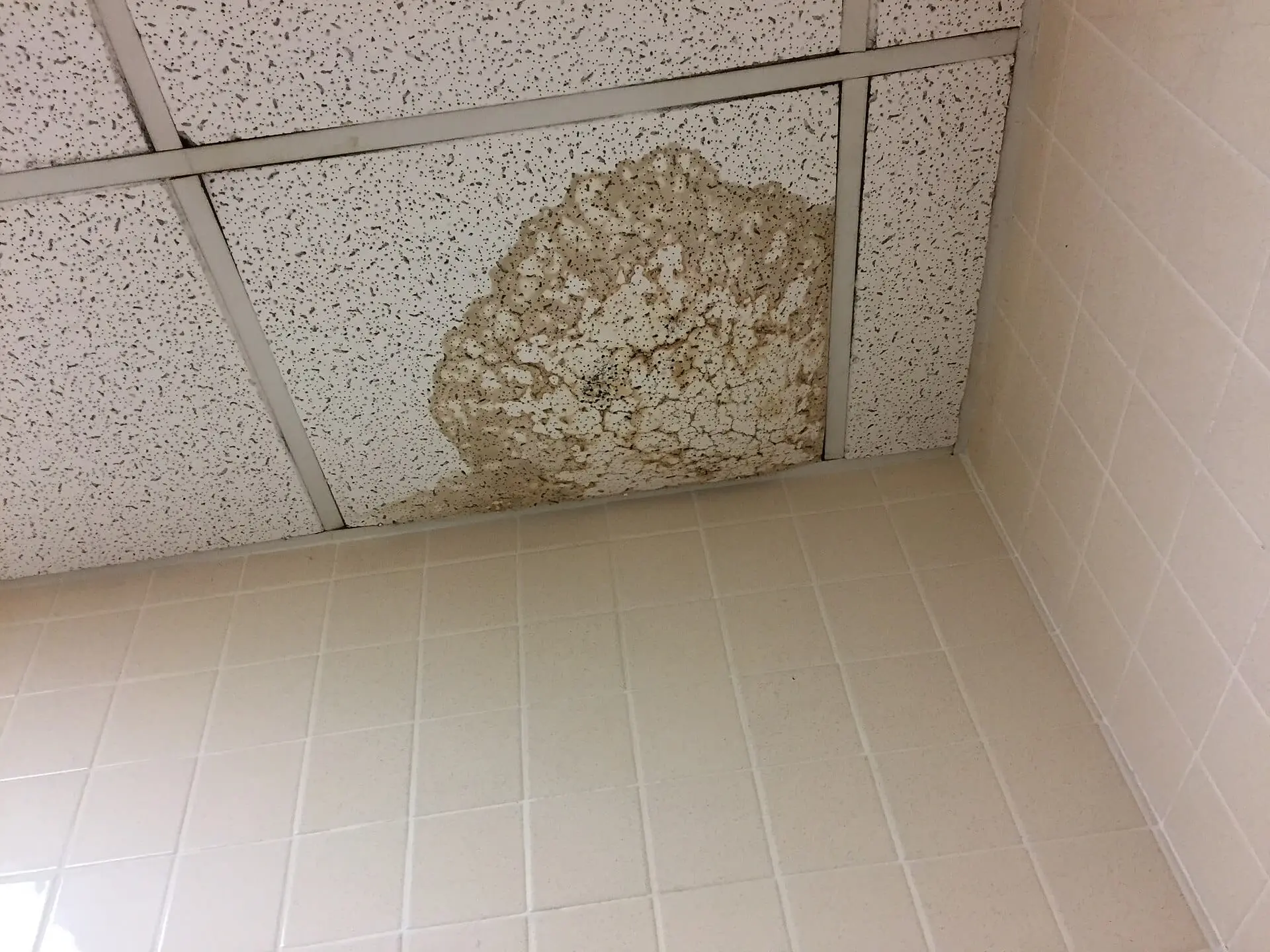 Plafond dont la dalle est tachée et dégradée par une fuite d'eau
