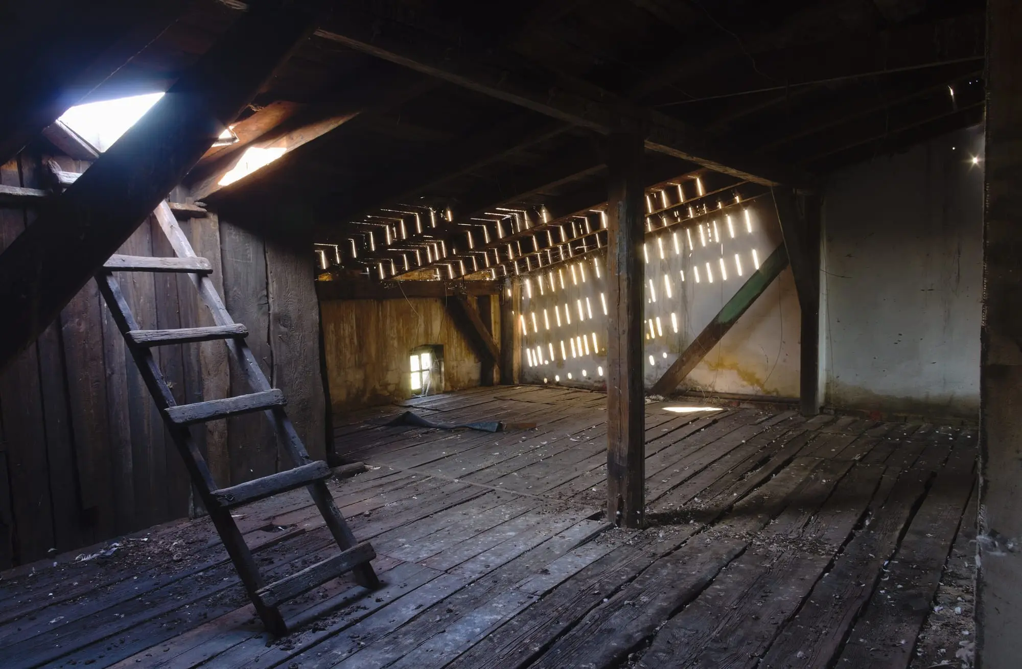 Combles en bois avec une échelle d'accès